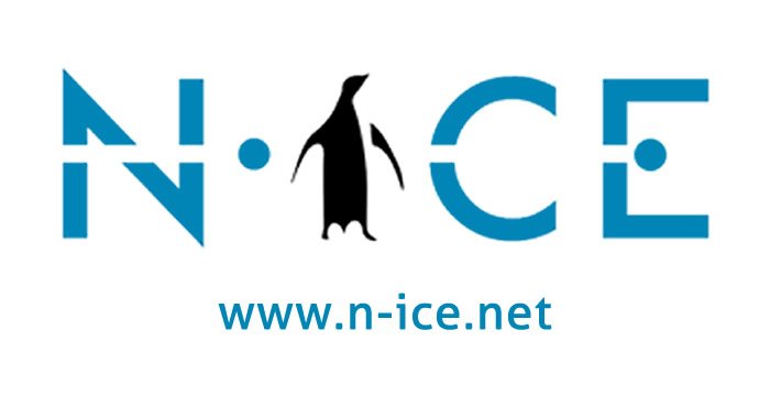 N-Ice